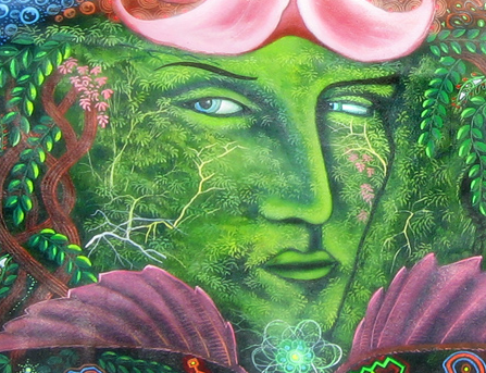 Ayahuasca Trip Reports Fall 2015